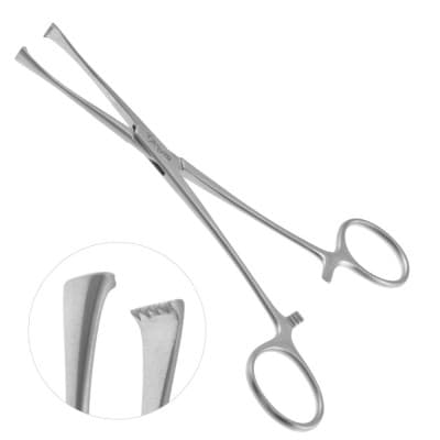 Lockwood Allis Tissue Forceps 4x5 Teeth 6 1/4"