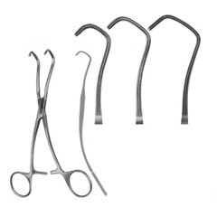 Thoracic Forceps Cardio and Thoracic Instruments