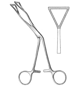 Lung Grasping Forceps Cardio And Thoracic Instruments