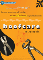 Hoof Care Instruments