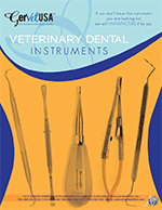 Small Animal Veterinary Dental Instruments