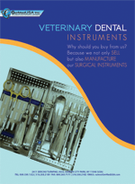 Veterinary Dental Instruments