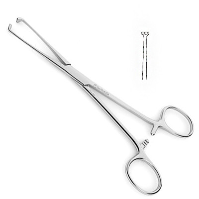 Boys Allis Tissue Forceps