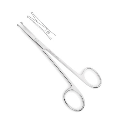 Dissecting Scissors Straight