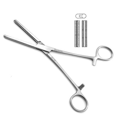 Rectal Forceps