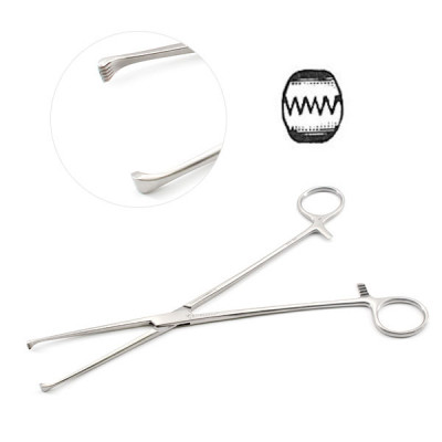 Allis Willauer Tissue Forceps  5X6 Teeth 10 inch