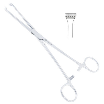 Thoms Allis Tissue Forceps 6X7 Teeth 8 inch
