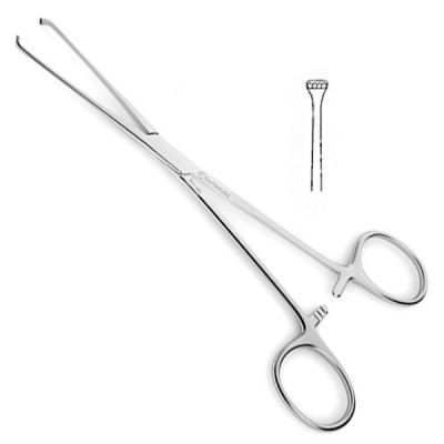Lockwood Tissue Forceps 7 3/4 inch