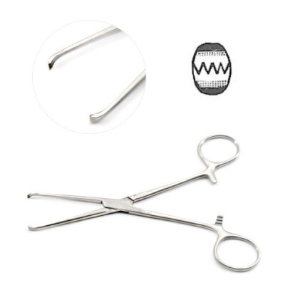Allis Tissue Forceps 4x5 Teeth 7 1/2 inch