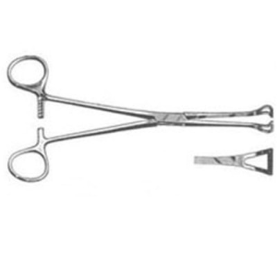 Baby Babcock Tissue Forceps 5 1/2 inch, Delicate Jaws 6mm Wide