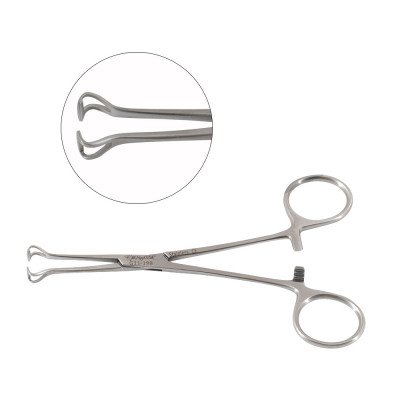 Baby Babcock Tissue Forceps 5 1/2 inch Delicate Jaws 6mm Wide