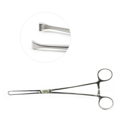 Allis Tissue Forceps 5x6th 6 inch