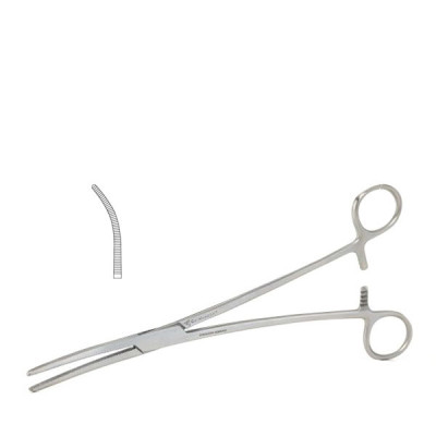 Rochester Pean Forceps 8 inch Curved