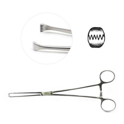 Allis Tissue Forceps 5x6 Teeth 7 1/2 inch