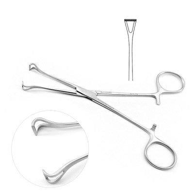 Babcock Intestinal Forceps 8 inch