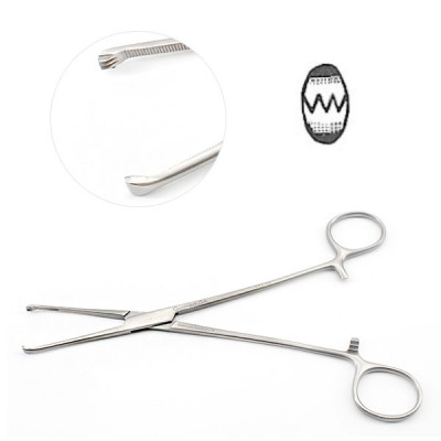Allis Tissue Forceps 3x4 Teeth 6 inch