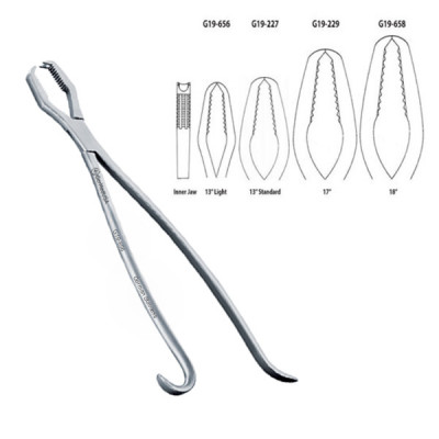Lane Bone Forcep 13 inch Heavy 2x2 Teeth Serrated Jaws Without Ratchet