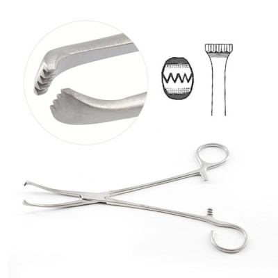 Allis Coakley Tonsil Forceps Medium Curve 7 3/4 inch