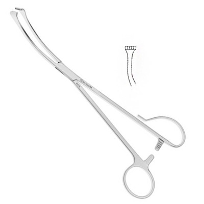 White Tonsil Forceps One Open Ring Medium Curve 9 1/2 inch