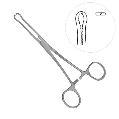 Locke Phalangeal Forceps 6 inch Teeth 1x2 Serrated Jaws