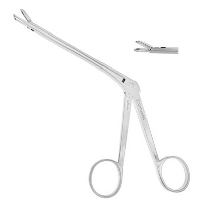 Gruenwald Nasal Punch Forceps