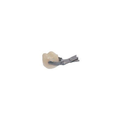 N-S Diamond dusted contoured Forceps 30 Degree Angle, For crown placement