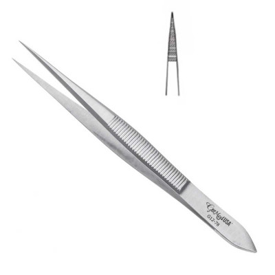 Plain Splinter Forceps