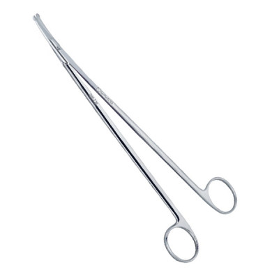 Strully Dissecting Scissors