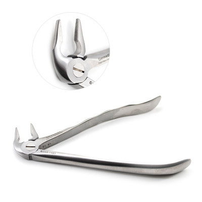 Dental Root Extracting Forceps #333S