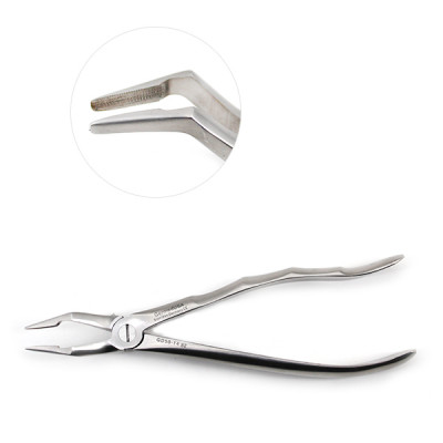 Dental Root Extracting Forceps #351S