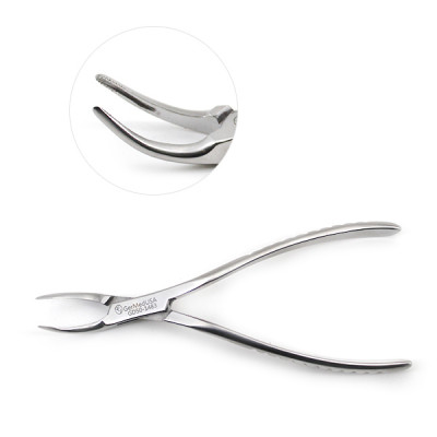 Dental Root Extracting Forceps #300 Curved Handle