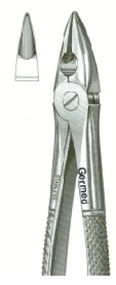 Standard Extracting Forceps #1