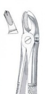 Universal Extracting Forceps 17S