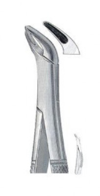 Universal Extracting Forceps 151S