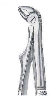 Dental Extracting Forceps B Pedo Lower Root Universal Mini