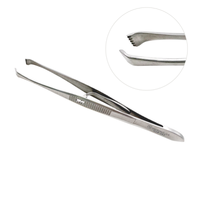 Eye Fixation Forceps