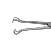 Babcock Forceps