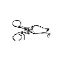 Miscellaneous Ear Instruments