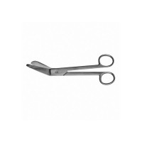 Plaster Shears