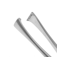 Lockwood Allis Tissue Forceps 6 1/4"