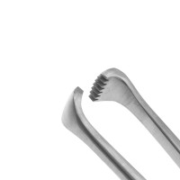 Thoms Allis Tissue Forceps 6X7 Teeth 8"