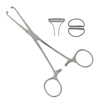 Allis Adair Tissue Forceps 9X10 Teeth 6"