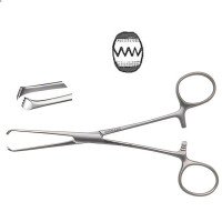 Pedifine Allis Tissue Forceps 4X5 Teeth 5 3/4"