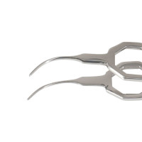 Foerster Iris Forceps 3 3/4" Curved