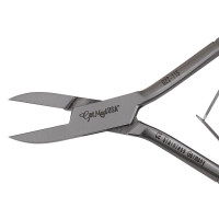 Nail Nipper 6" Straight Jaws Double Spring Stainless
