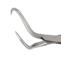 Bone Fragment Forcep 6" Large