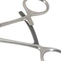 Bone Fragment Forcep 6" Large