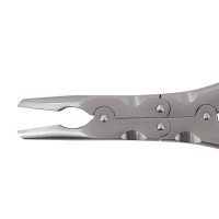 Ruskin Rongeur 6" Straight 2mm Double Action