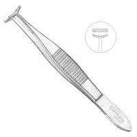 Eye Fixation Forceps
