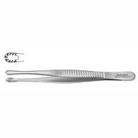 Gynecology Tissue Forceps